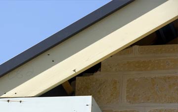 Tregynon fascia repairs