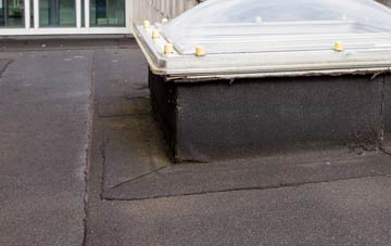 disadvantages of Tregynon flat roofs