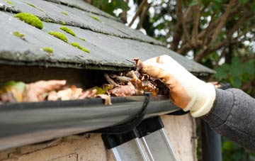 gutter cleaning Tregynon, Powys