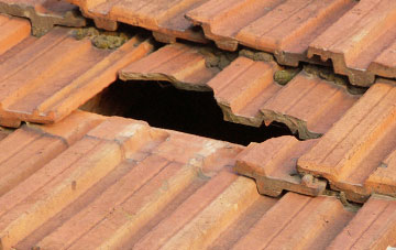 roof repair Tregynon, Powys